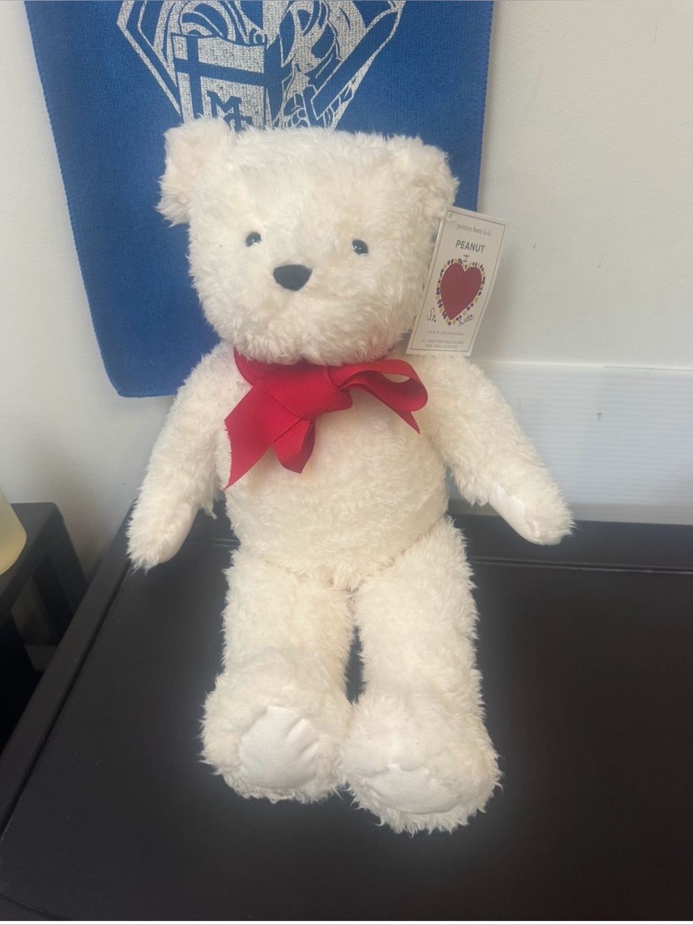 St Jude Pottery Barn Bear
